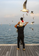 Mina District across from the cruise terminal, locals and tourists feed the seagulls, Doha, United
