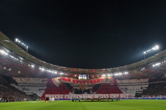 Choreo, choreography, fan action VfB Stuttgart, Cannstatter Kurve, OUR COLORS ARE WHITE AND RED