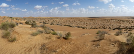 Sand dunes in the Wahiba Sands desert, Oman