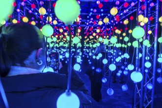 Park lights, winter event, in the Grugapark in Essen, many different light installations, across