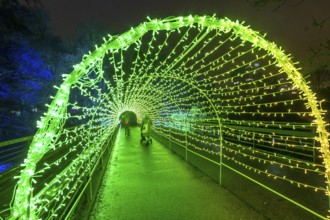 Park lights, events in winter, in the Grugapark in Essen, many different light installations,