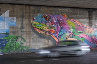 Colourful graffiti, mural, iguana or lizard in rainbow colors, in a motorway bridge underpass of
