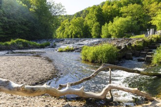 Lusatian Neisse at St. Marienthal Abbey in Ostritz, Saxony, Germany