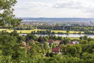 View of the Elbe and Dresden, Royal Vineyard Wachwitz, Dresden, Saxony, Germany