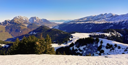 View of snow-covered Säntis and Churfirsten from Gulmen, Amden, Canton of St. Gallen, Switzerland