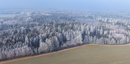 Winter forest aerial view of a mixed forest with spruces, pines, birches and beech trees covered