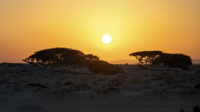 Sunset on the coast near Khahil, Oman