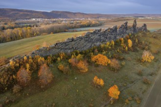 Teufelsmauer, Devil's Wall, eroded sandstone rock formation Mittelsteine near Weddersleben in the