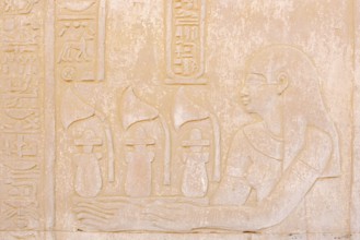 Relief at the double temple of Kom Ombo, Kom Ombo, Egypt