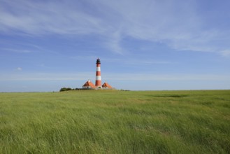 Westerheversand lighthouse and salt marshes, Westerhever, Eiderstedt peninsula, North Frisia,