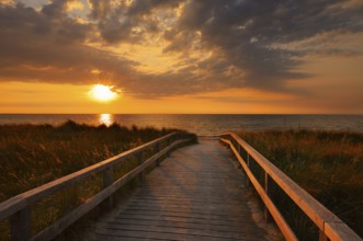 Wooden walkway through the dunes on the Baltic Sea at sunrise, Dahme, Ostholstein, Germany
