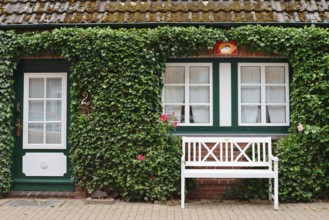 House covered with ivy and white bench, 'Little Amsterdam of the North' Friedrichstadt, North