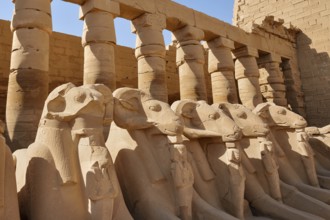 Aries sphinxes in front of the colonnades, Karnak Temple, Luxor, Egypt