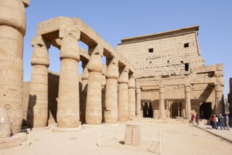 Colonnade, Luxor Temple, Luxor, Egypt