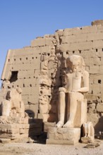 Statues at Karnak Temple, Luxor, Egypt