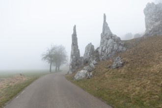 Spring 2026: Mystic morning fog surrounding the Stone Virgins (Steinerne Jungfrauen) rock formation