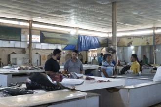 Fish market, Salalah, Oman