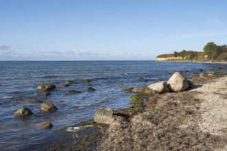 Boulders on the banks of the Saal, cliffs, Klein Zicker, Mönchgut, Rügen island, Baltic Sea,