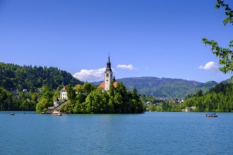Blejski Otok island with St. Mary's Church, Bled, Lake Bled, Slovenia
