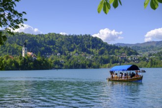 Tourist boats, rowing boats, Bled, Lake Bled, Slovenia
