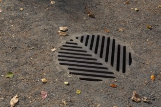 Close-up of heavy cast iron metal storm drain cover on compacted gravel path with fallen leaves in
