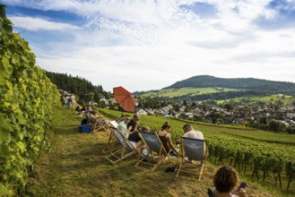 Wine tasting in the vineyards, Freiburg im Breisgau, Black Forest, Baden-Württemberg, Germany