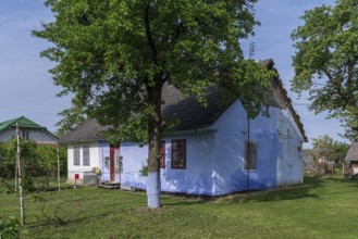 Old German settler house with garden in the former Dornfeld from 1789-1939, today Ternopillya,