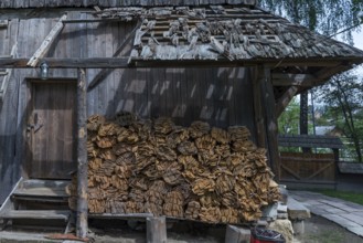 Storage of wooden shingles for wooden church repairs, Drochobych, Ukraine
