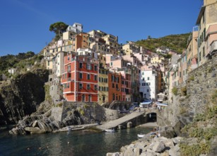 Colourful houses under blue sky, view of the fishing village of Riomaggiore, boats in the harbour,