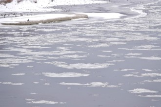 Elbe with ice floes, winter, Dresden, Saxony, Germany