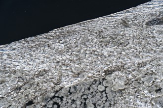 Ice, water, river, Elbe, ice floe, pancake ice cream, many, aerial view, Schleswig-Holstein, Lower