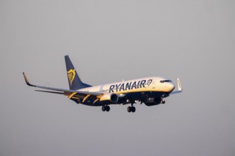 Ryanair Boeing 737 lands at Cologne/Bonn Airport, North Rhine-Westphalia, Germany
