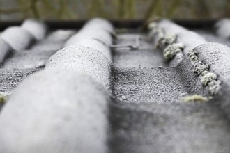 Hoarfrost on a roof, winter, Germany