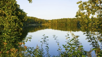 Ahlhorn fishing pond in late summer, Ahlhorn, Lower Saxony, Germany