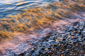 Wave play at sunrise on the chalk coast in Jasmund National Park, Rügen, Sassnitz,