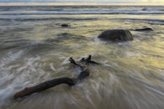 Evening on the chalk coast in Jasmund National Park, Rügen, Sassnitz, Mecklenburg-Western