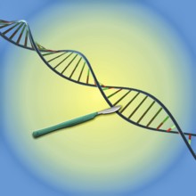 Symbol, DNA research, science, medicine, scalpel, CRISPR scissors, future, engineer, technician,