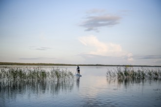Person on a stand-up paddle board between reeds on a calm lake under clear sky with views, Asnen,