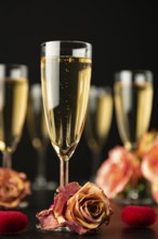 Champagne glasses with rose petals on a black background, solemn and romantic