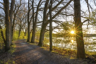 Sunrise at Ahlhorn fish ponds, Ahlhorn, Lower Saxony, Germany