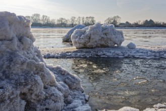 Ice skating on the Elbe with small icebergs on the water and on the banks of the Elbe Island near