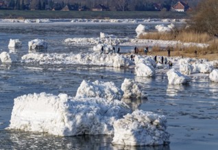 Many visitors look at the icebergs on the water of the Elbe and on the banks of the Elbe Island