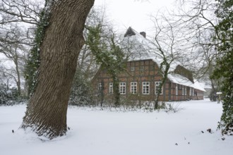 Farm in Dötingen in winter, Dötlingen, Lower Saxony, Germany