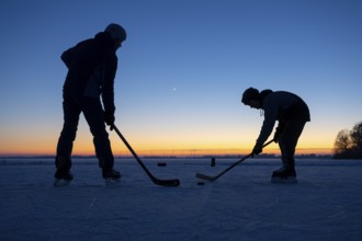 Winter at Dümmer, ice hockey player on the lake, Eickhöpen, Lembruch, Lower Saxony, Germany