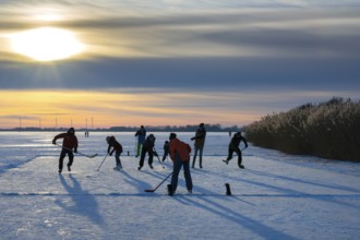 Skating, ice hockey men playing on the frozen Dümmer See, Winter at Dümmer, Eickhöpen, Lembruch,