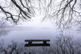 Ahlhorn fish ponds in fog, Ahlhorn, Lower Saxony, Germany