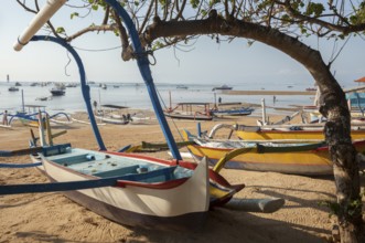 Restored, brightly painted outrigger fishing boats on Sanur beach, Bali, Indönsia