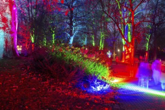 Winter lights in Luisenpark in Mannheim. Every year in January and early February, the park is