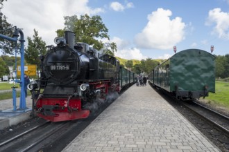 Historic Steam Railway, Rasender Roland Narrow Gauge Railway, Rügensche Bäderbahn, Sellin Ost