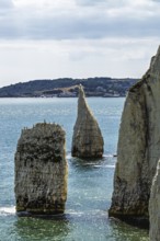 White Cliffs of Old Harry Rocks Jurassic Coast, Handfast Point, Dorset, UK